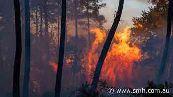 Tens of thousands forced to flee French holiday spots as fires spread across Europe