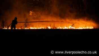 Horror as holiday hotspot ravaged by wildfires with hundreds fleeing on boats