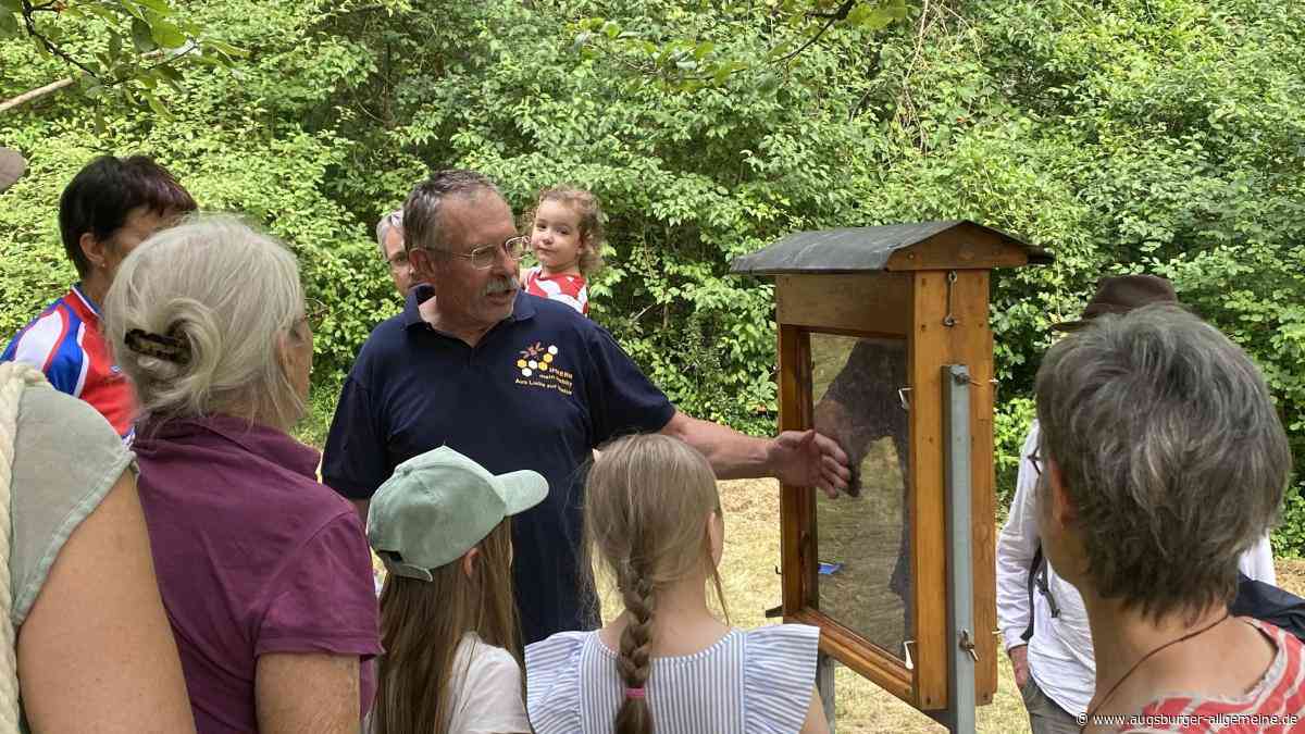 Freie Plätze bei Kinderkonzerten: Elchinger Musiktage starten mit Bauernhof-Abenteuer