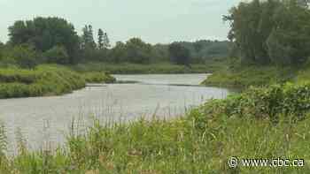 Kennebecasis watershed restricted to fly fishing to protect heat-stressed trout