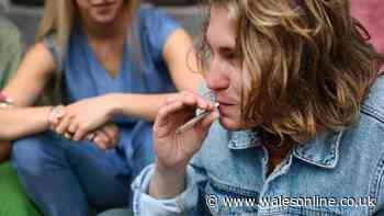 What to do if your neighbour is smoking cannabis