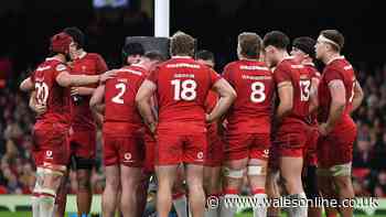 WRU to make major new appointment to improve behaviour and mindset of Wales players