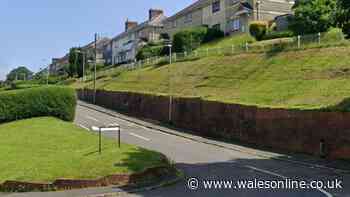 Multiple arrests made and person in hospital after police incident in Swansea