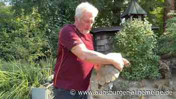 Er rettet Schlangen, Schildkröten und Leguane