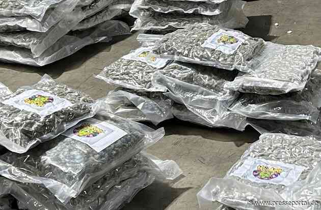 HZA-F: 17,6 und 18,4 Kilogramm Marihuana durch Frankfurter Flughafenzoll im Reiseverkehr beschlagnahmt - Beide Drogenkuriere auf demselben Flug