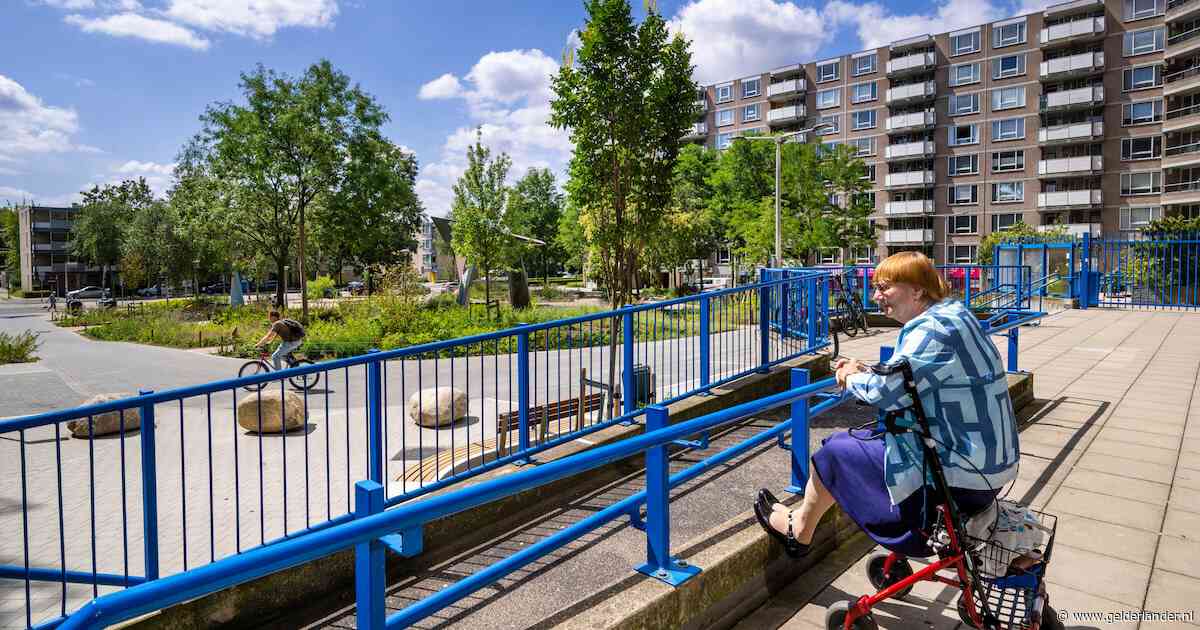 Bijna 2000 vierkante meter steen eruit, bomen en planten erin: dit plein moet nu een stuk aangenamer zijn, wat vinden bewoners?