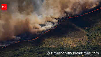 Spain invokes first wildfire emergency as fires rage across Europe; over 10,000 evacuated