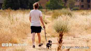 Heat health alerts in effect for parts of UK as rain returns for some this weekend
