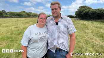 Sheep owners 'heartbroken' over theft of flock