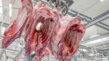 Te weinig varkens en te veel runderen aan de slachtlijn