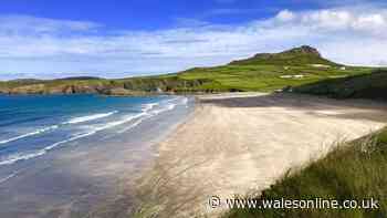 Dog owners warned before heading to beaches in Wales