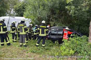 Ast durchbohrt Pkw – Feuerwehr befreit eingeschlossenen Fahrer