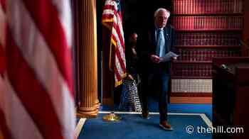 Democrats brush off fears within party about threat of democratic socialists
