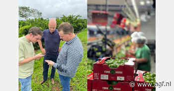 "Specialisatie belangrijker dan ooit"
