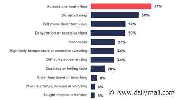 June heatwave cost the UK economy more than £1 BILLION, study claims