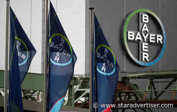 Crop seed producer Bayer plans layoffs in Hawaii