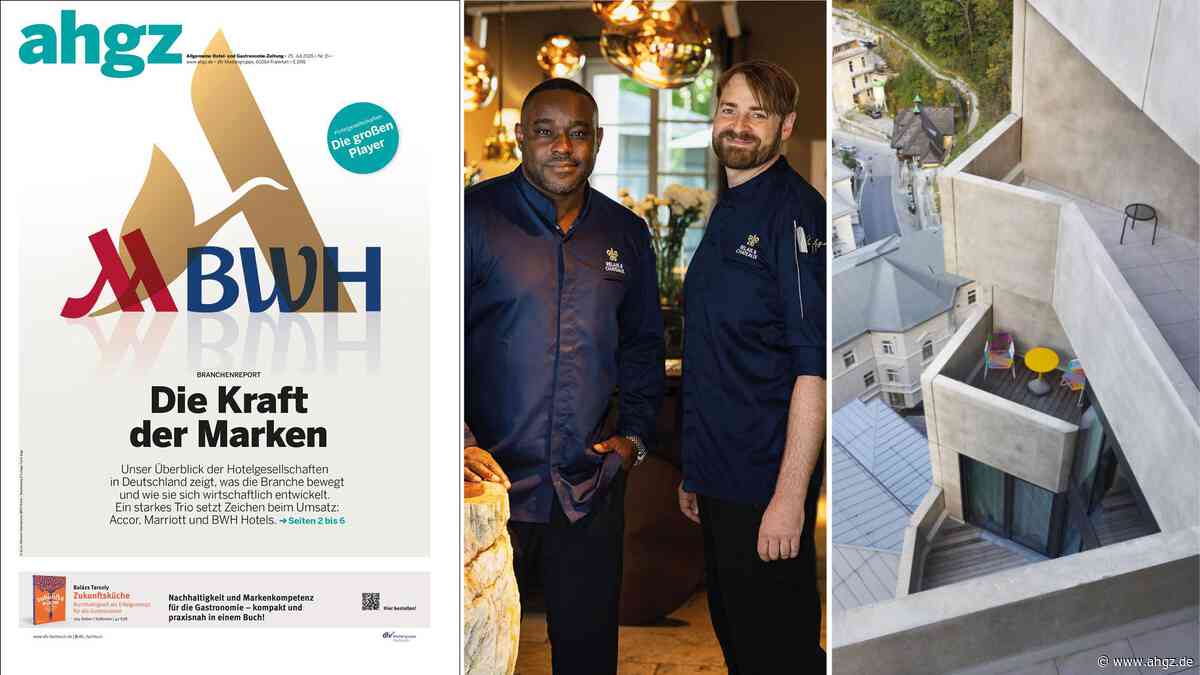 Das neue ahgz E-Paper: Titelthema: Die Kraft der Marken