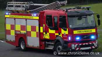 Dogs almost killed in County Durham after 10-year-olds on illegal e-bike caught starting fires