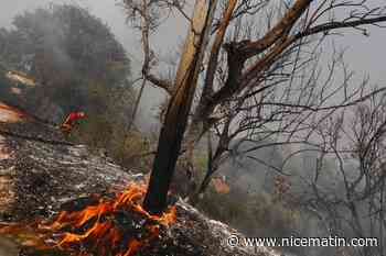 Risque d’incendies : comment cette commune des Alpes-Maritimes prépare ses campings au pire scénario