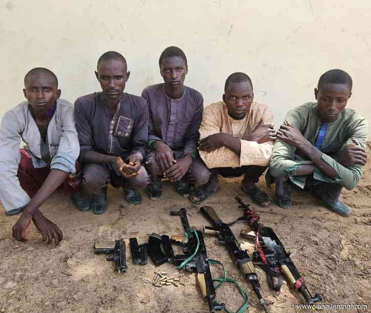 Troops nab 5 suspected kidnappers in Yobe