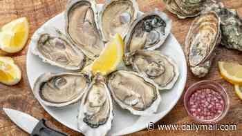 Why oysters are the 'most nutritious animal' that can keep you full on just 10 calories, according to experts - but too many could be dangerous