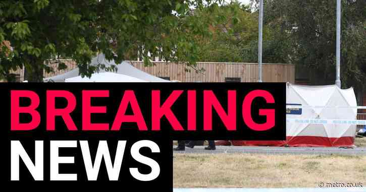 Four men in their 20s killed after car smashes into lamppost