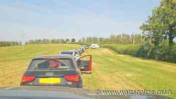 Drivers forced to park in field after serious crash causes gridlock
