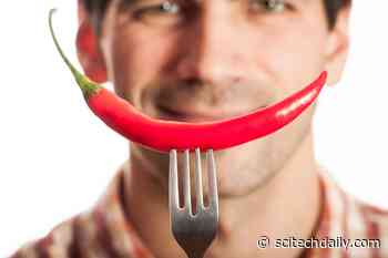 Common Diet Advice About Water and Spicy Food May Be Completely Wrong
