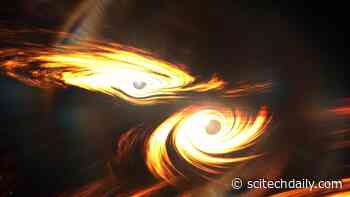 Black Hole Collisions May Follow a Surprisingly Simple Rule