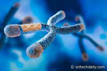 Rare Autism-Linked Syndrome Is Far More Common Than Scientists Thought