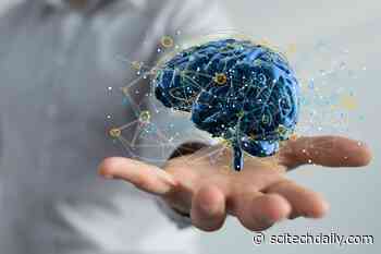 The Brain Can Reason Without Language, MIT Study Finds