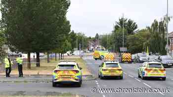 Four men in their 20s dead after car leaves road and hits lamppost