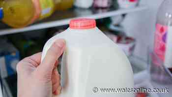 Best place to store milk in fridge if you want it to last longer