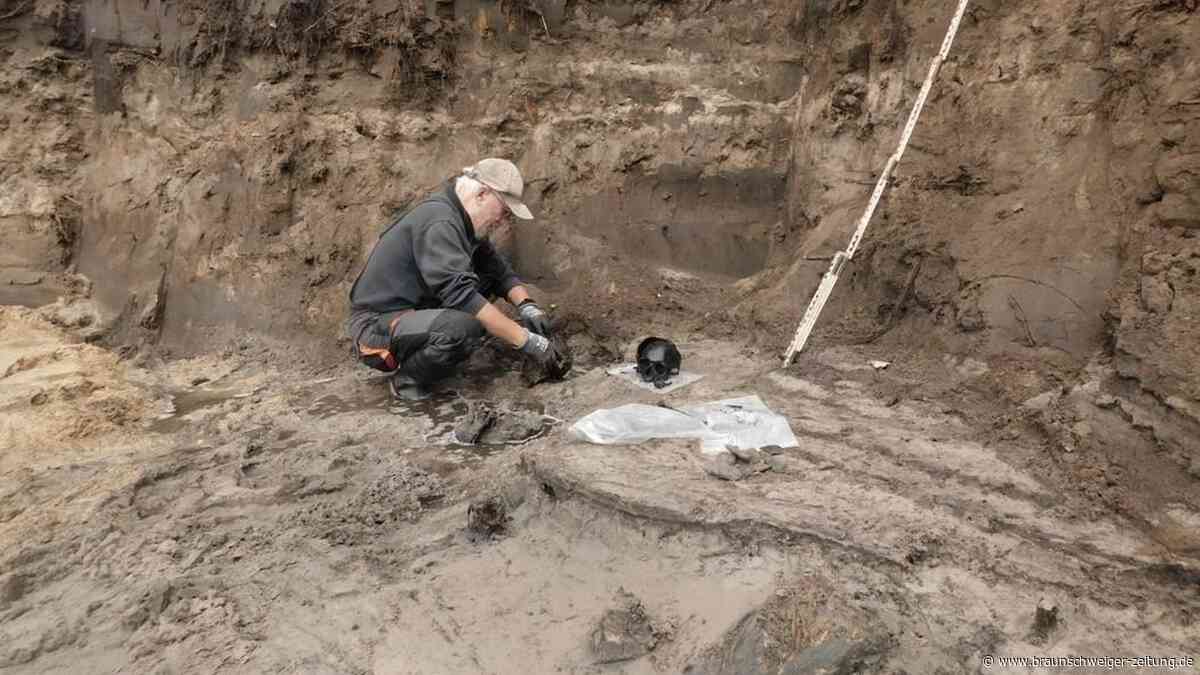 Archäologen im Kreis Gifhorn bangen um die historischen Schätze im Boden