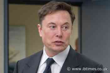'Zero Died Because of DOGE': Elon Musk Denies USAID Cuts Caused Child Deaths in Violent Backlash
