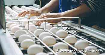 American Egg Board builds next generation of egg-based CPG