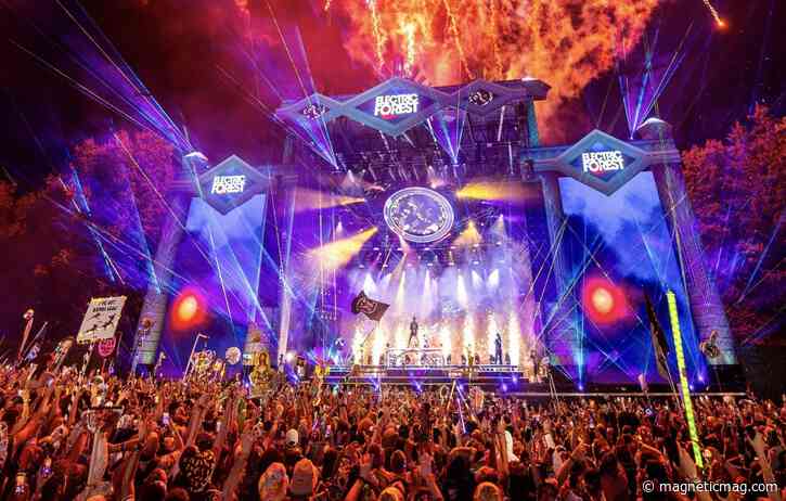 Lost in the Forest, Found in the Moments [Event Review]