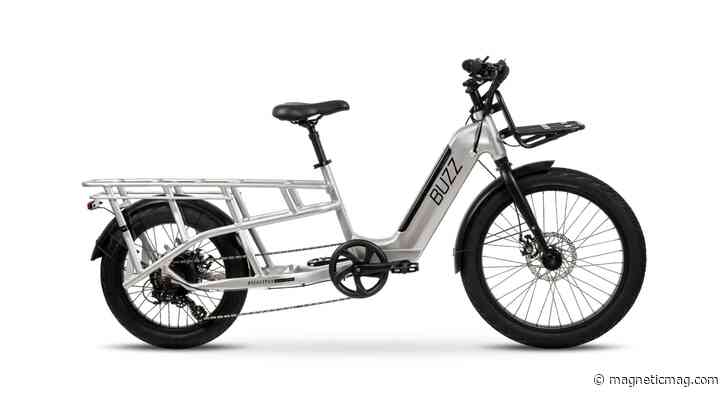 Buzz Beekeeper Cargo eBike Review: A Party on 2 Wheels