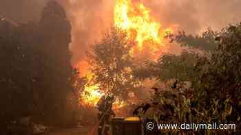 Brits flee from French cape inferno: Tourists describe 'enormous' flames during escape from wildfire as 60,000 are evacuated from burning peninsula