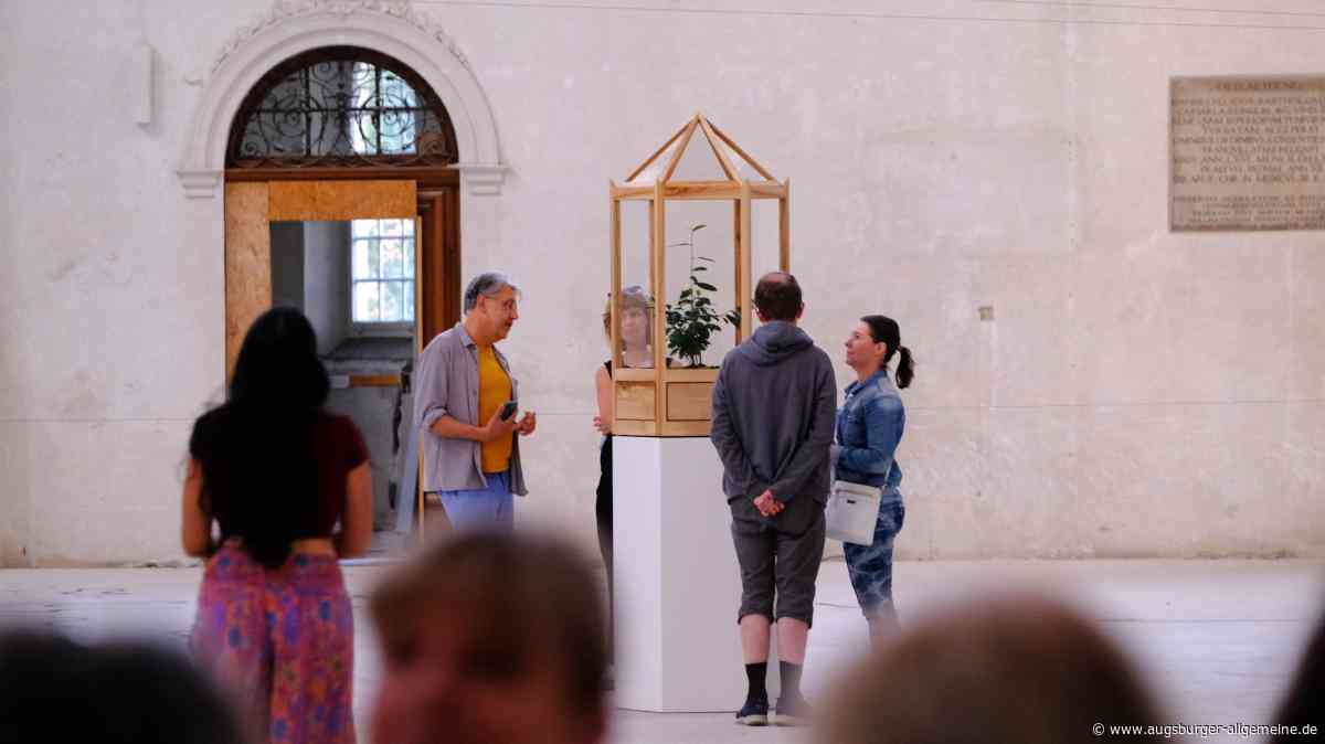 Geheimnisvolle Teepflanzen und koloniale Schatten: Kunst-Installation in Augsburger Kirche