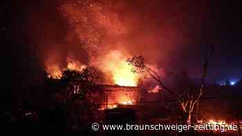 Waldbrände in Südeuropa: Auch wir werden zur Feuerregion