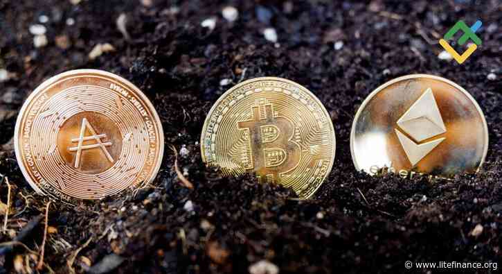 Is Crypto Dead? A 2026 Reality Check
