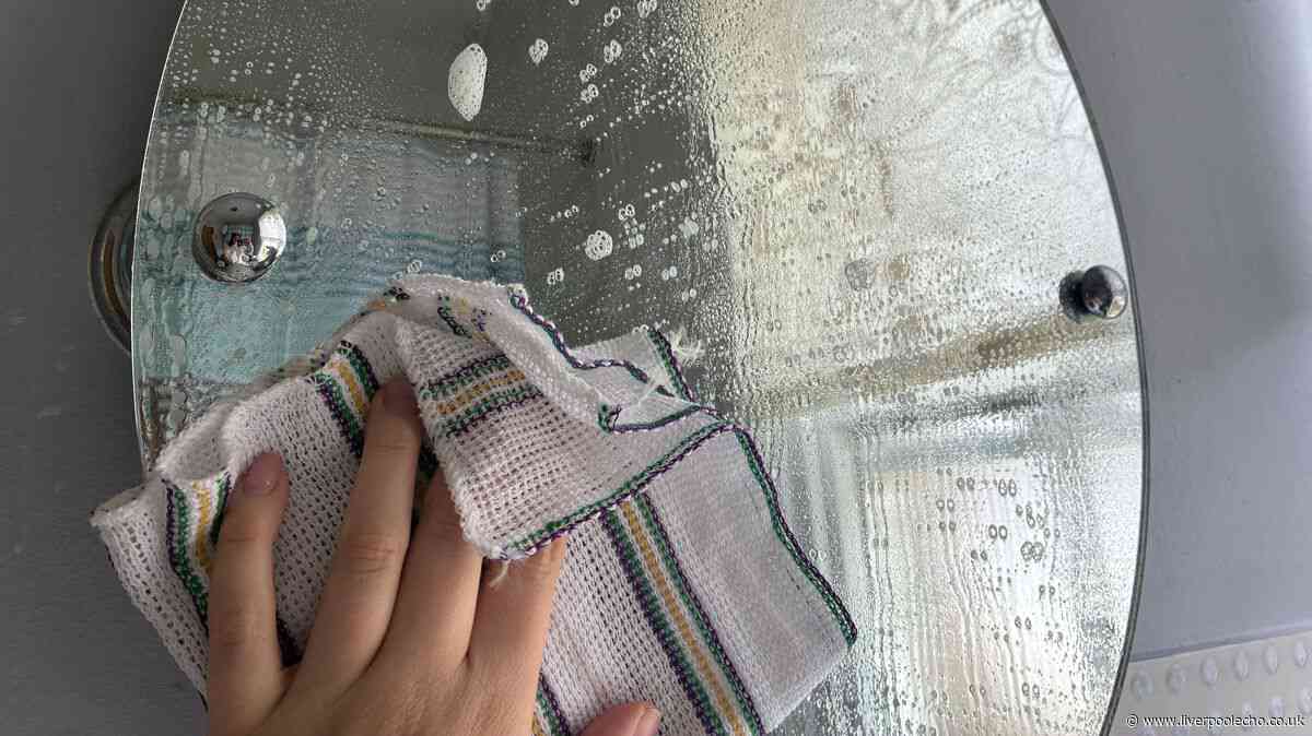 I keep mirrors and windows clean with £1 item from The Range — no streaks