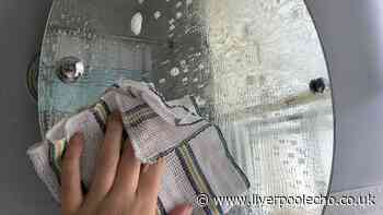 I keep mirrors and windows clean with £1 item from The Range — no streaks