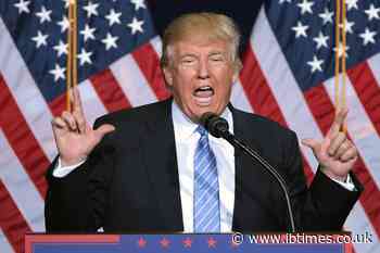 Trump's Anti-Fraud Campaign Flops as Red States Prove Alleged SNAP Scammers Are Legitimate