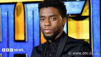 Black Panther star Chadwick Boseman's family in legal dispute with his widow