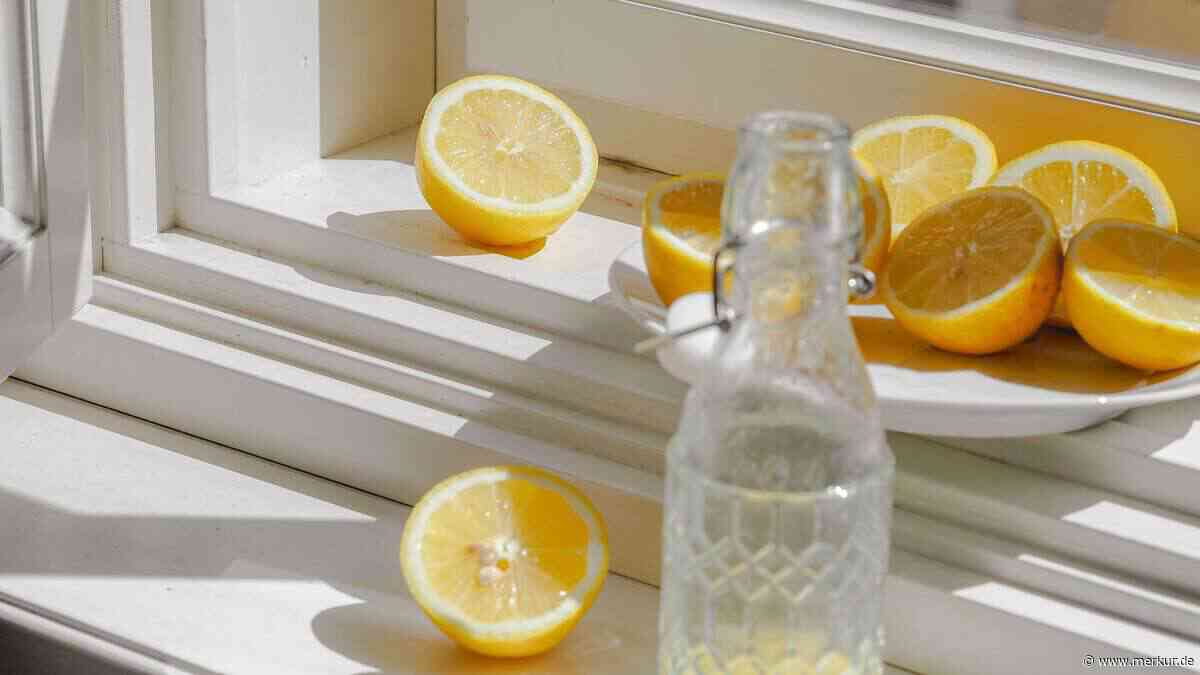 Studien zu Darmgesundheit am Morgen: Zitronenwasser, Apfelessig und Kombucha im Check