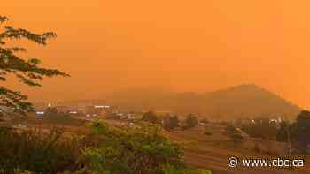 Migraine-related hospital visits spike during periods of wildfire smoke, Canadian study finds