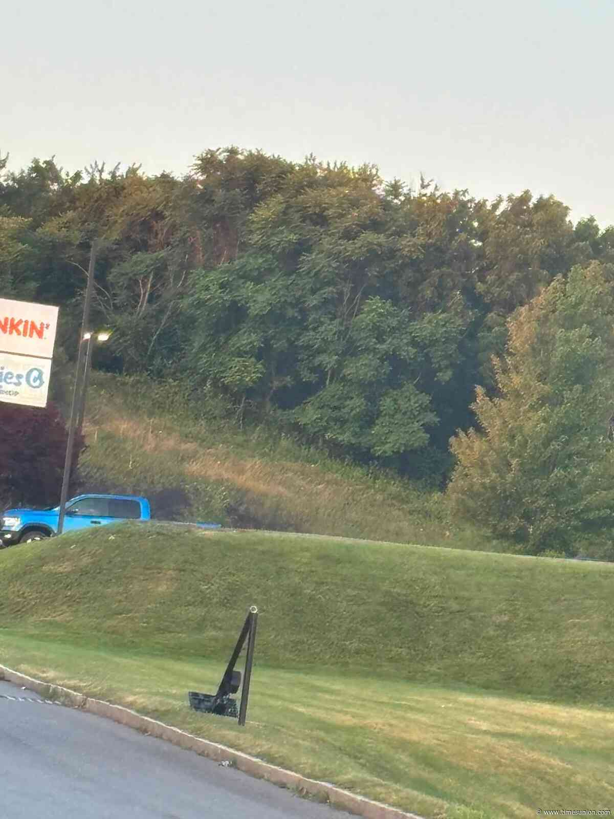 Flock Safety cameras cut down in Troy