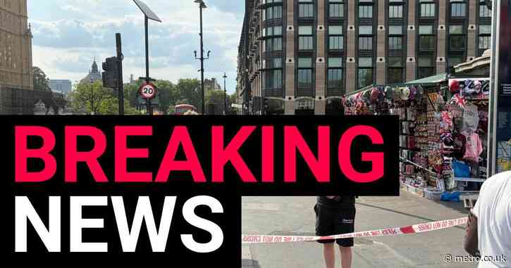 Police boat carrying armed response units crashes near Westminster Bridge